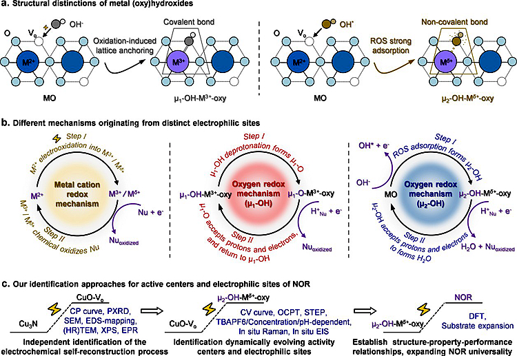 图片1_副本_98131图片1_副本